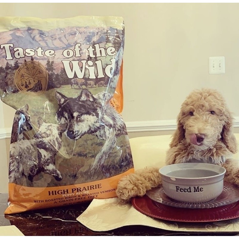 Thức ăn hạt khô cho chó Taste of the wild Bò rừng và nai nướng Puppy 12,2kg