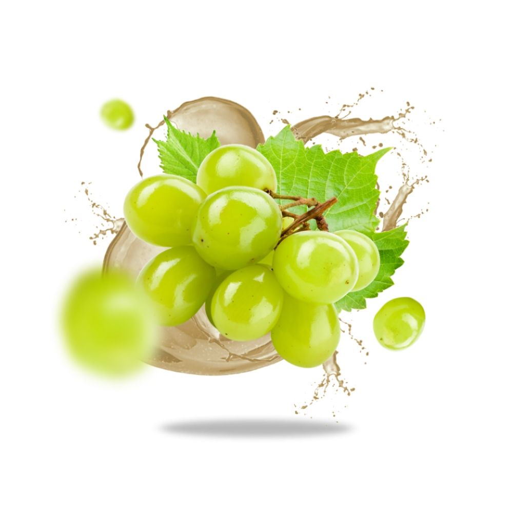 Nước Đường Nho Ý Hữu Cơ 250ml Sottolestelle/ Organic Grape Sugar - Date: 17/11/2023 - Nhà Hữu Cơ