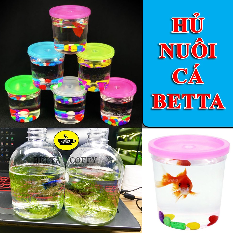 Hủ Nuôi cá Betta Mini - Cốc nuôi cá mini