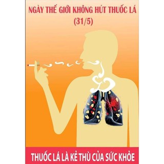 Cai thuốc lá No smoking Xuân vinh