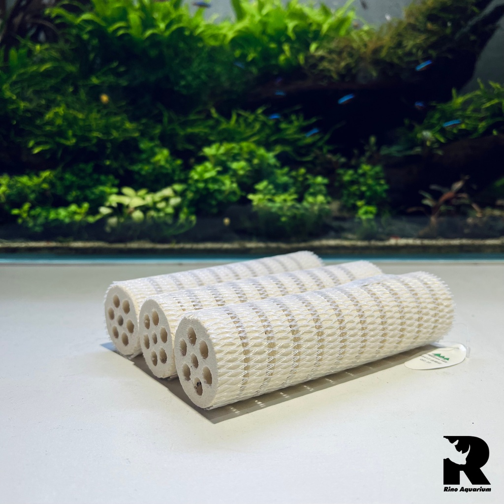 Sứ Lọc Thanh Củ Sen Thế Hệ 2 Kích Thước 4x16cm | Sứ Lọc Mountain Tree Lotus Root Bacteria House Cho Hồ Cá Thủy Sinh