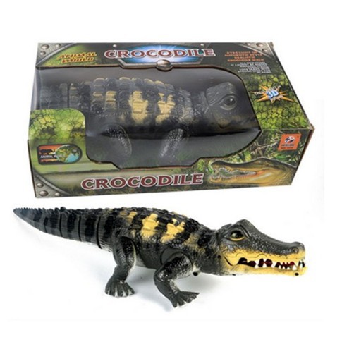 CÁ SẤU PIN Crocodile  -