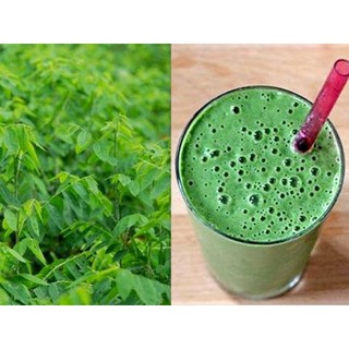 Bột rau ngót Behena 50gr