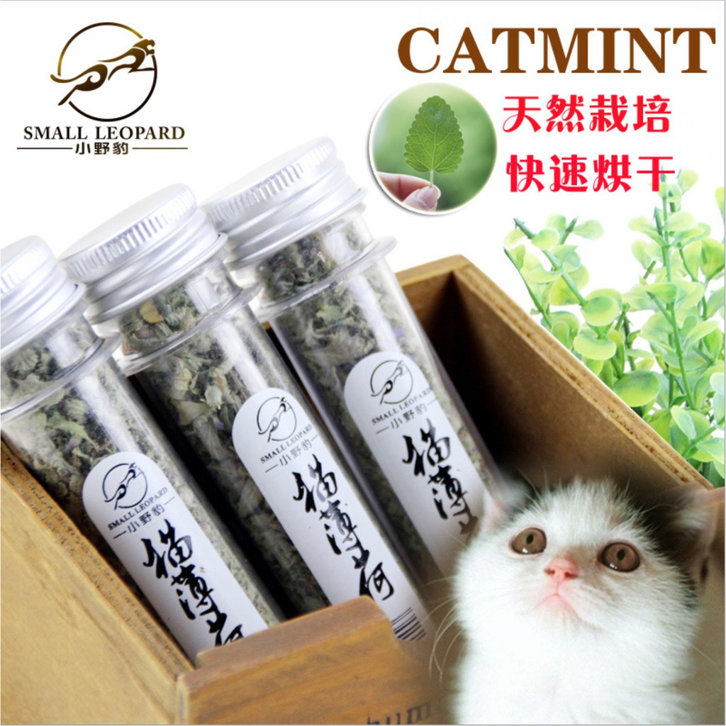 Cỏ Mèo Canip Dạng Ống 45-50ML