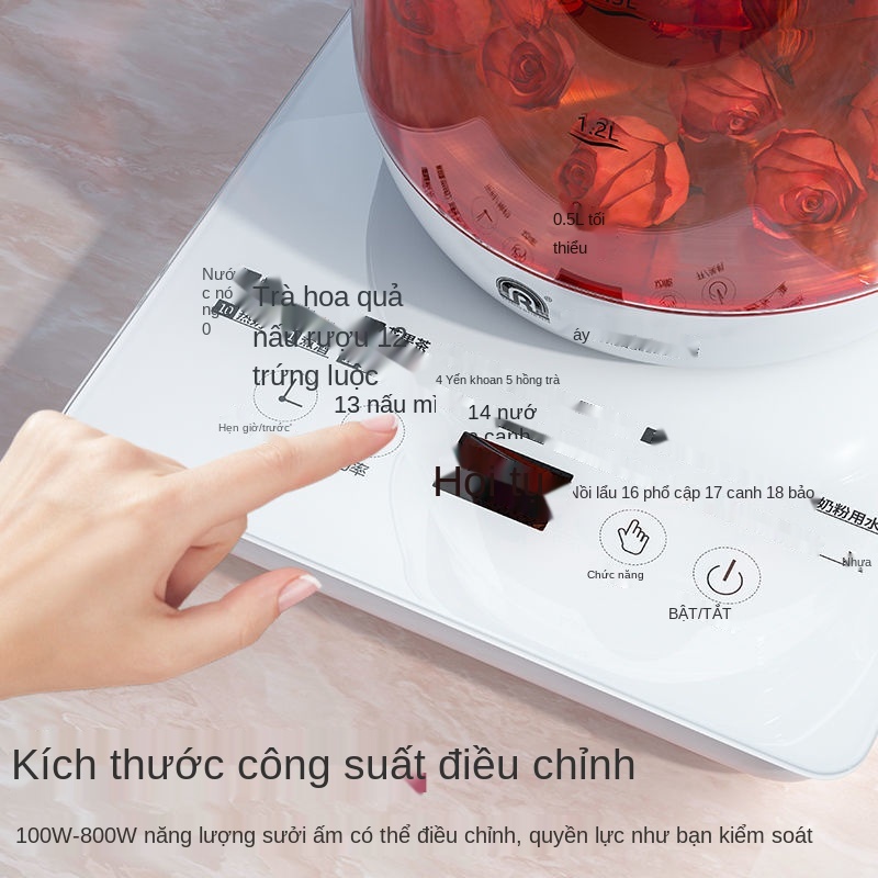 Ấm sức khỏe tự động Rongsheng gia dụng thủy tinh dày đa chức năng trà mini điện đun nước dưỡng sinh