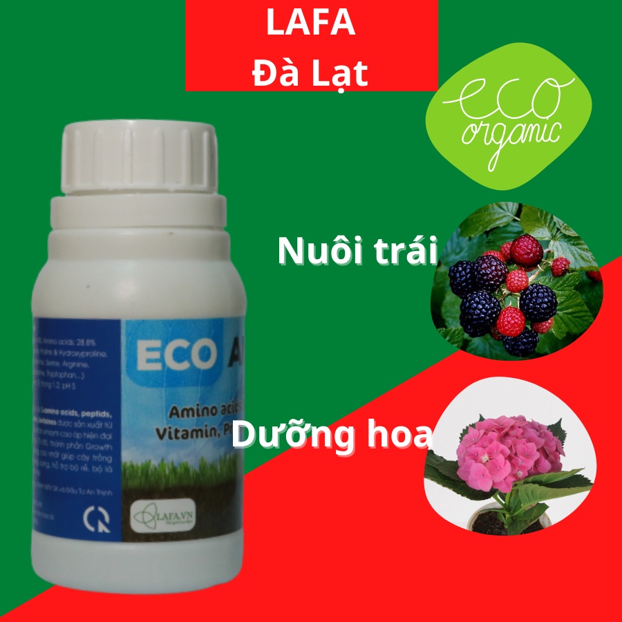 Phân bón hữu cơ Eco Amin LAFA chai 100ml sử dụng trong giai đoạn cây trồng phát triển