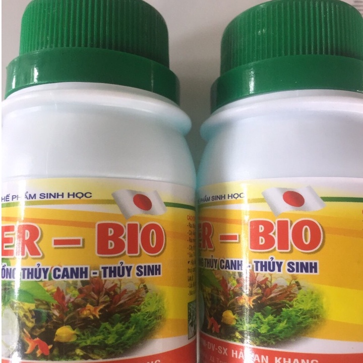  Lọ Thủy Canh Cho Sen Mini Nhật