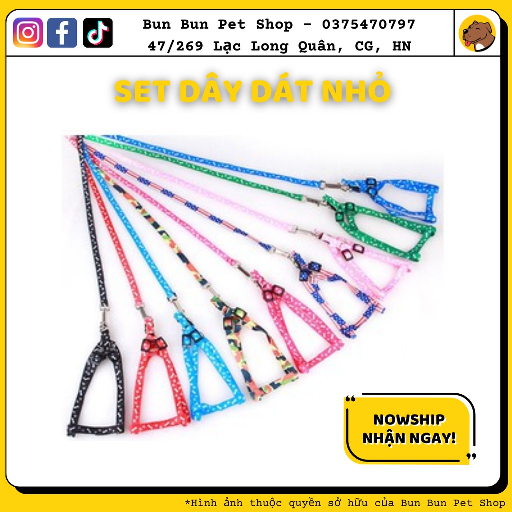 Set dây dắt dành cho cún nhỏ dưới 5kg