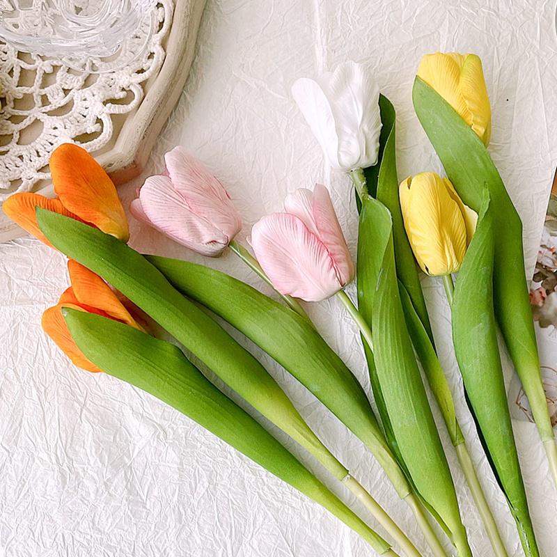 Hoa Tulip Thiết Kế Tối Giản Phong Cách Bắc Âu