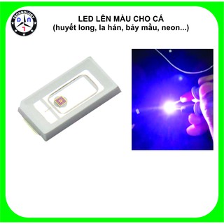 Combo 50 Led lên màu cho cá cảnh
