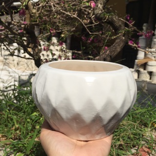 Chậu Sứ Bát Tràng Trồng Cây Cảnh Dáng Kim Cương