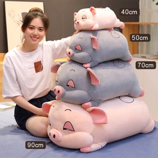 Lợn bông-Heo bông Nhập Khẩu