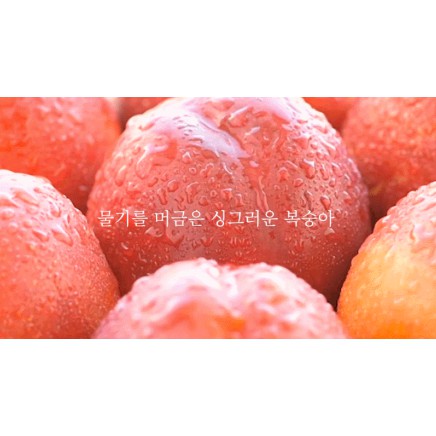 Nước hoa xịt thơm W.Dressroom 70ml No49 peach blossom | BigBuy360 - bigbuy360.vn