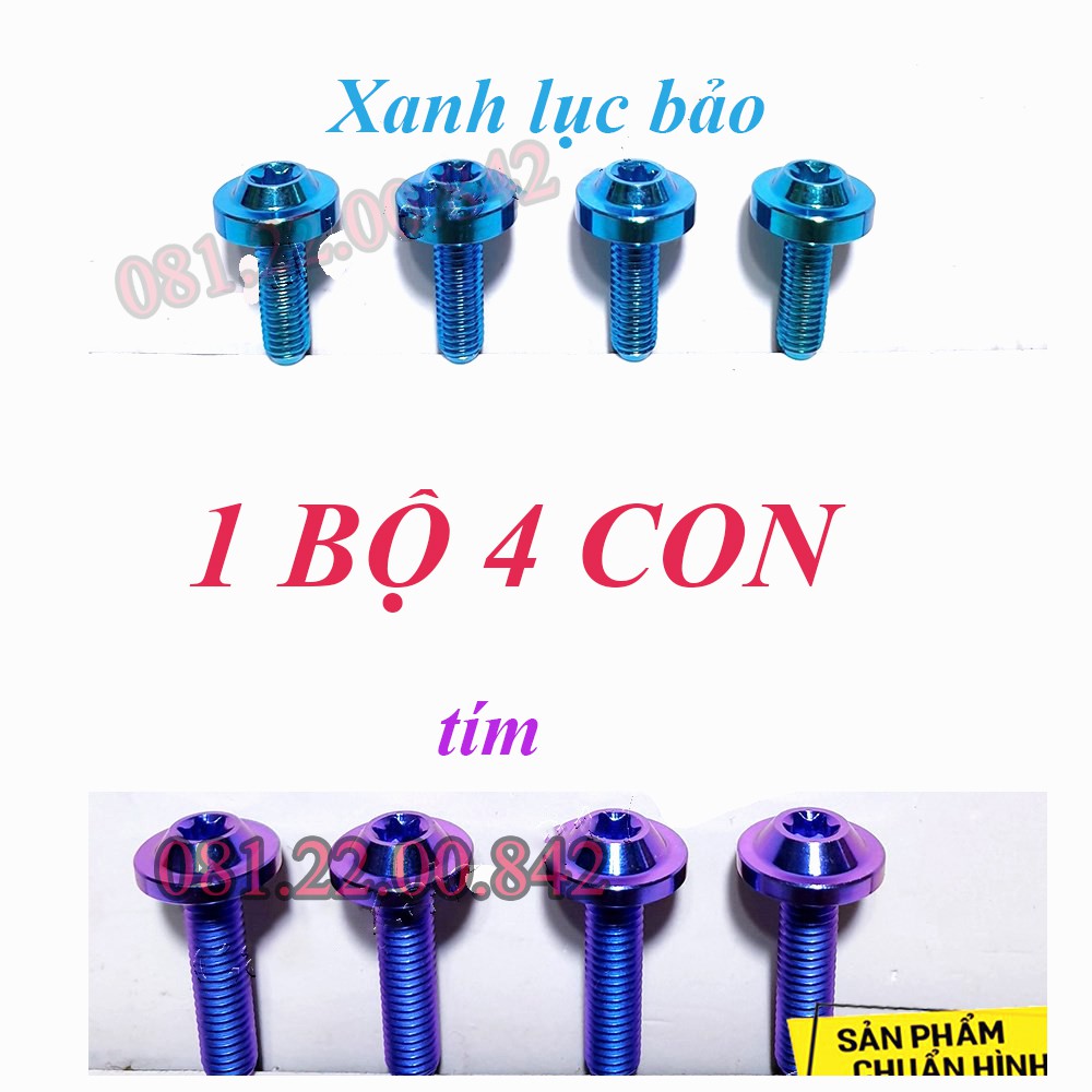 Mão Winner X z1000 Kiểu Motor Kèm 4 Ốc Titan