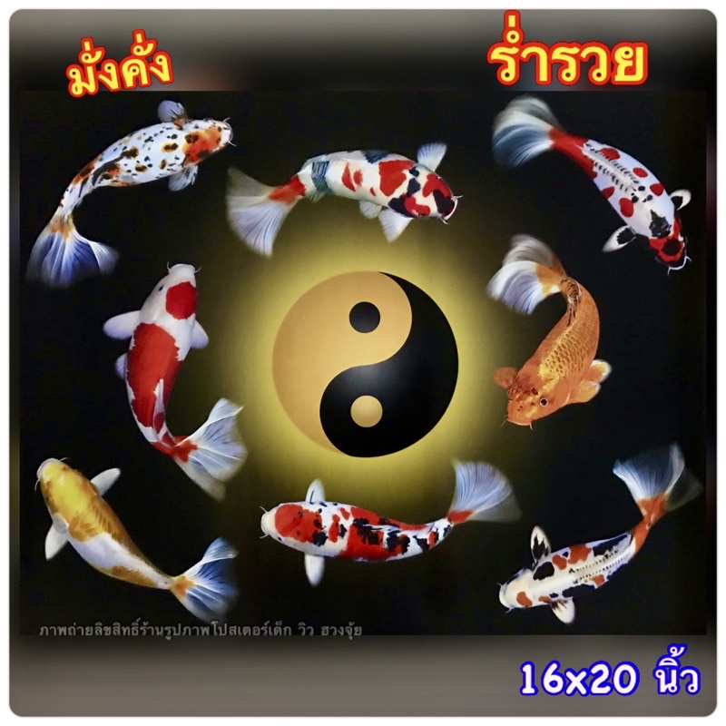 Poster Không Phải Dán (Bao Gồm Hình Ảnh Phong Thủy) Hình Ảnh 8 Âm Dương Cá Koi Poster Kích Thước Hìn