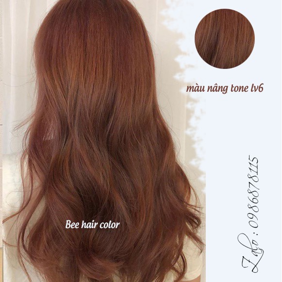 Kem Nhuộm nâng tone tóc lv6 (100m)