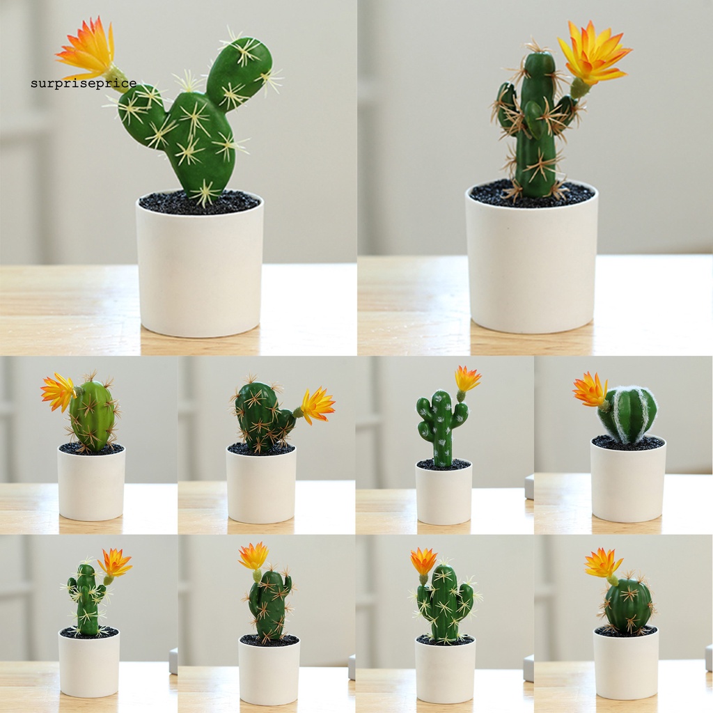 Chậu cây bonsai mini bằng nhựa không phai màu trang trí bàn