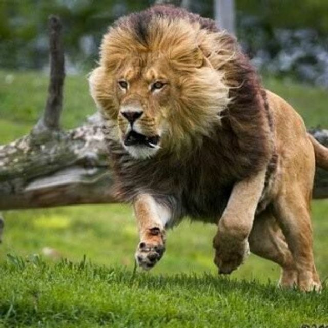 baccojbaccoj, Cửa hàng trực tuyến | BigBuy360 - bigbuy360.vn