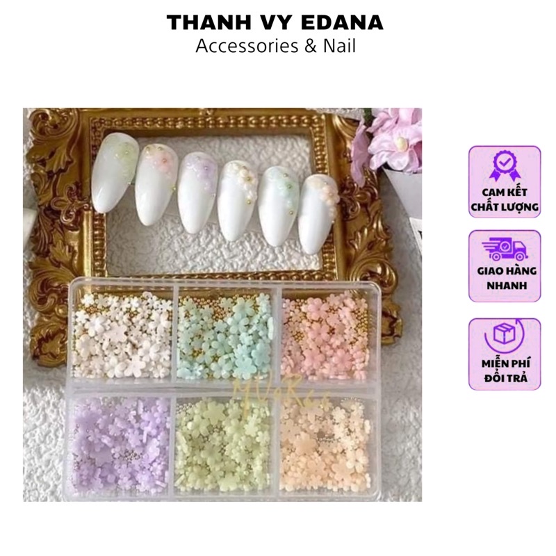 Hoa Nhí Trang trí, Sét Hoa Nhí Nhựa Mix Hộp 6 Màu Kèm Bi, Phụ Kiện Nail [Thanh Vy Nail]