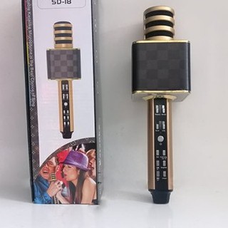 Micro Karaoke Bluetooth SD18 [BH chính hãng]
