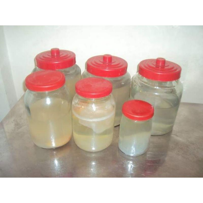 Nước giấm nuôi nhà làm