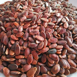 1Kg Hạt Dưa Thiên Hương