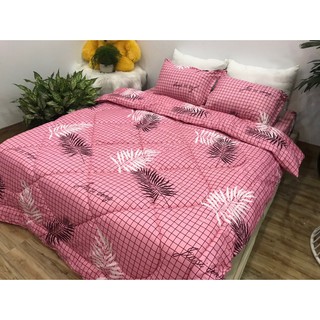 Ruột chăn hơi siêu nhẹ ấm áp