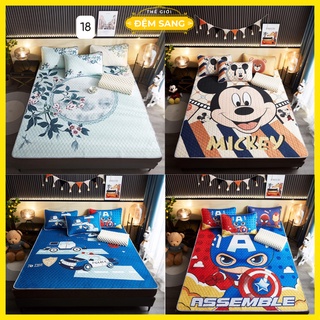 Bộ Chiếu điều hòa cao su non Tencel Latex 5D Mát Mềm Mịn có vỏ gối CHI101