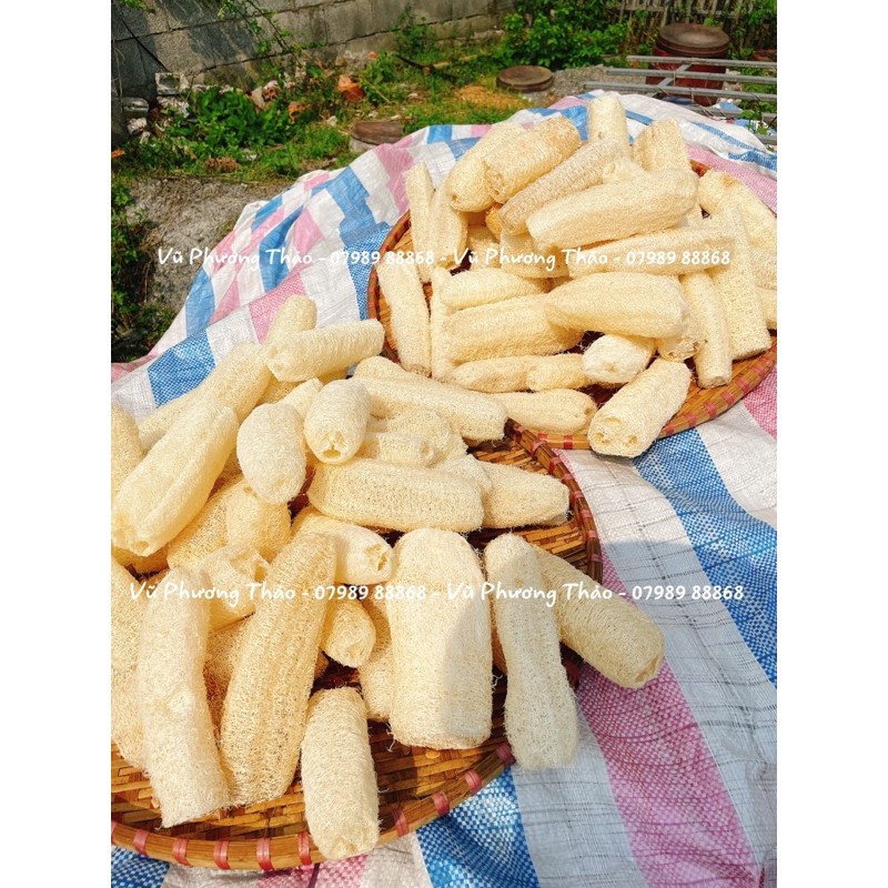 XƠ MƯỚP TỰ NHIÊN | Bông Tắm Tẩy Tế Bào Chết | Rửa Chén Bát | Vũ Phương Thảo Mom Shin | Shop Mẹ Thảo | Ở Cữ Mẹ Shin Min