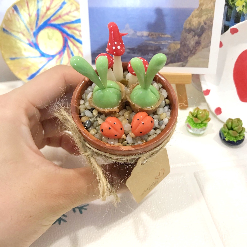 Chậu sen đá tai thỏ xanh size trung, sen đá làm từ đất sét