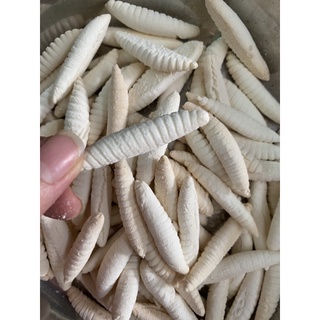 500g bánh con sâu sữa, con đuông dừa sữa thơm béo