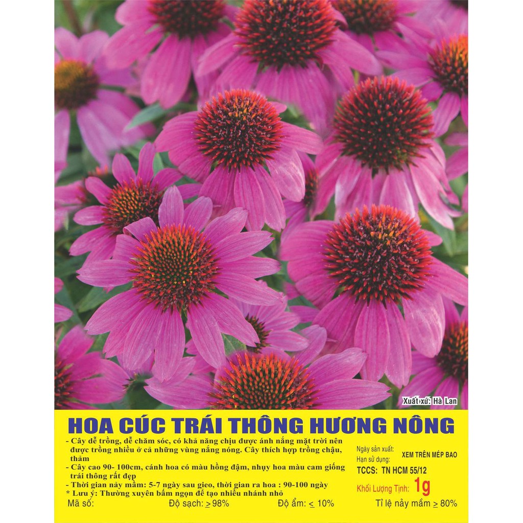 Hạt giống HOA CÚC Trái thông - Gói 1 gram