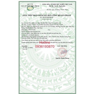 ☊❅☃Bổ phổi ích phế đan hộp 60 viên