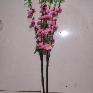 10 cành đào nụ