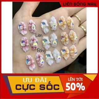 hoa bột nail-hoa ôm chai mắt mèo bao đẹp từng cánh