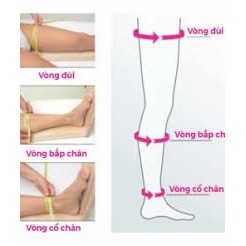 Vớ y khoa giãn tĩnh mạch Medi duomed Sản xuất tại Đức - Vớ Đùi