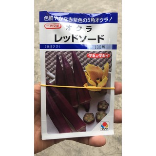 hạt giống đậu bắp đỏ kháng bệnh nhật bản