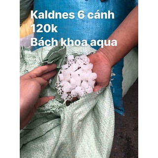 Hạt lọc Kaldnes
