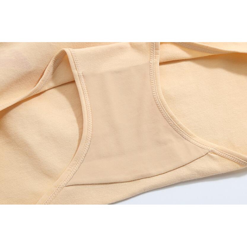 Quần Lót Cotton Mềm Cạp Vừa Plus Size / ZM0413ZOE