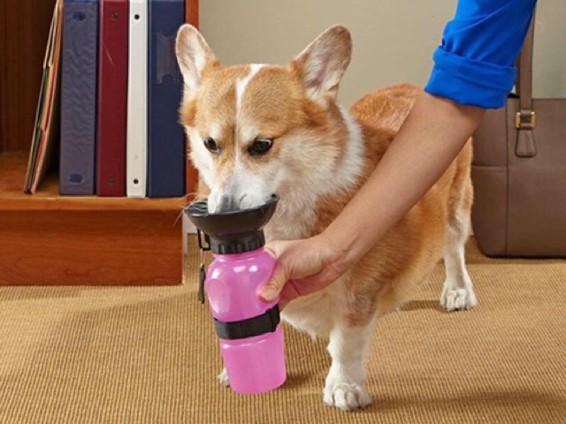 Auto Dog Mug - Bình nước du lịch di động tự động cho cún mèo