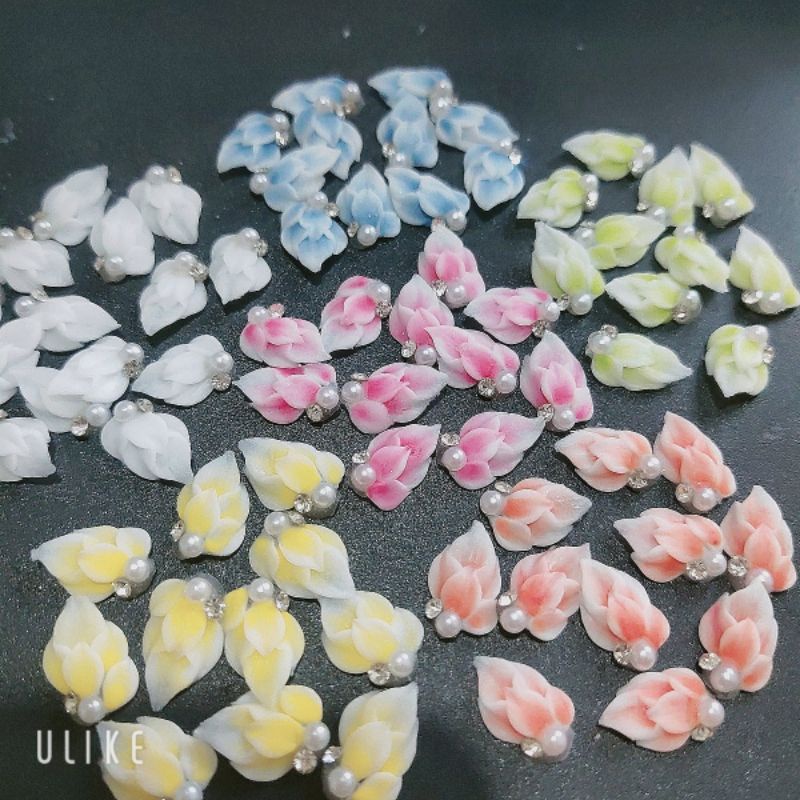 Hoa bột nail-góc tay