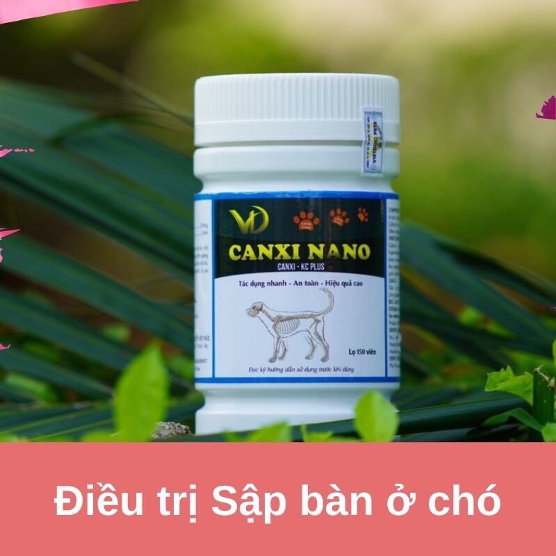 Canxi Nano Chính hãng cho chó meo