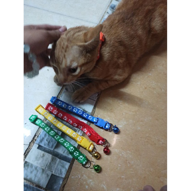 Vòng cổ cho chó mèo nhiều màu kèm chuông có thể điều chỉnh size