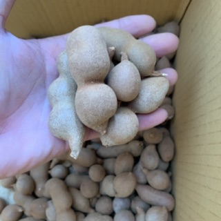 Me Thái Lan sấy dẻo 4kg