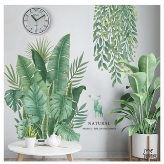 Decal Trang Trí Tường