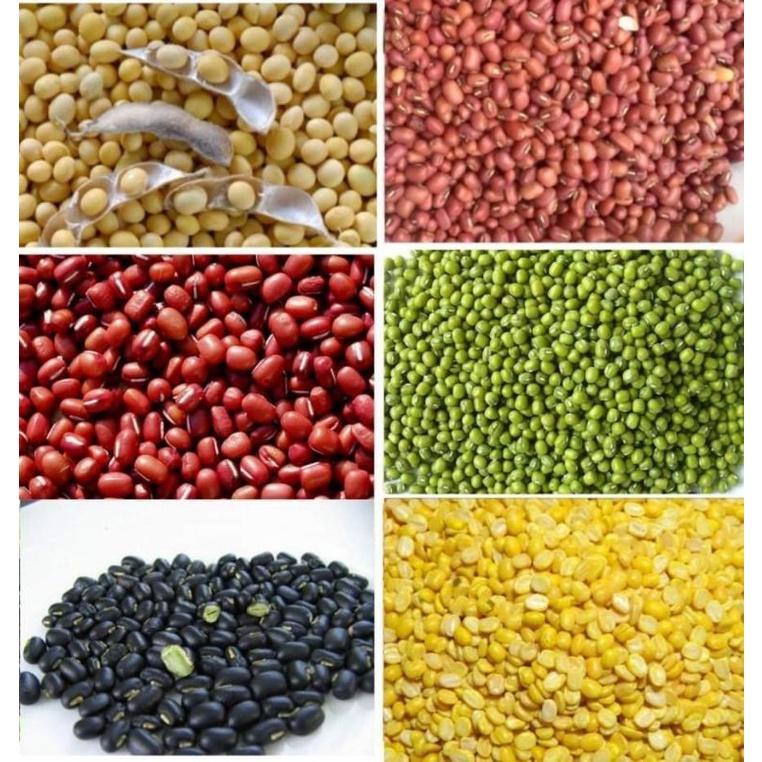 500G ĐẬU / ĐỖ CÁC LOẠI : ĐẬU XANH / ĐỎ/ ĐEN XANH LÒNG / PHỘNG / NÀNH/GÀ