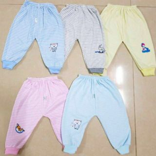 Set 5 quần nỉ cotton