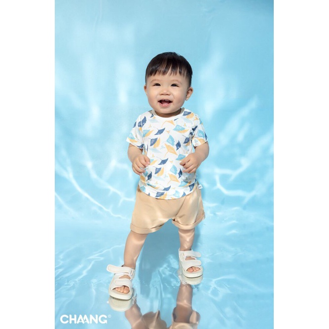 Chaang áo phông bé trai, áo thun bé gái cotton nhiều màu Sea SS2022D01