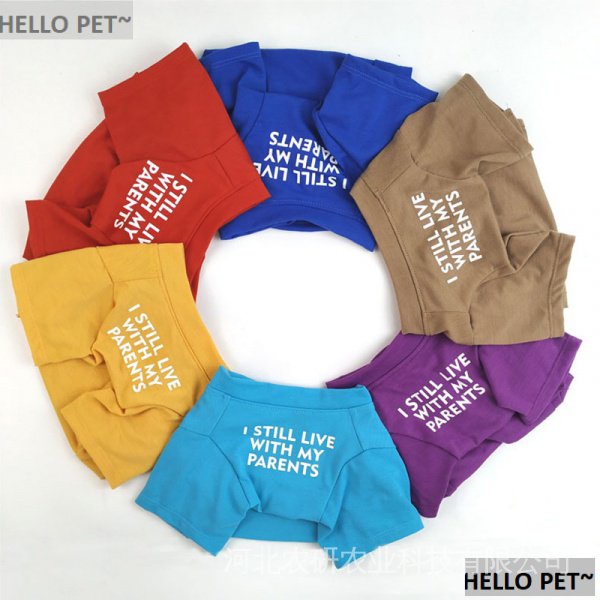Áo Thun Cổ Tròn In Hình Chú Chó Bull Pháp N8A0 Cho Thú Cưng