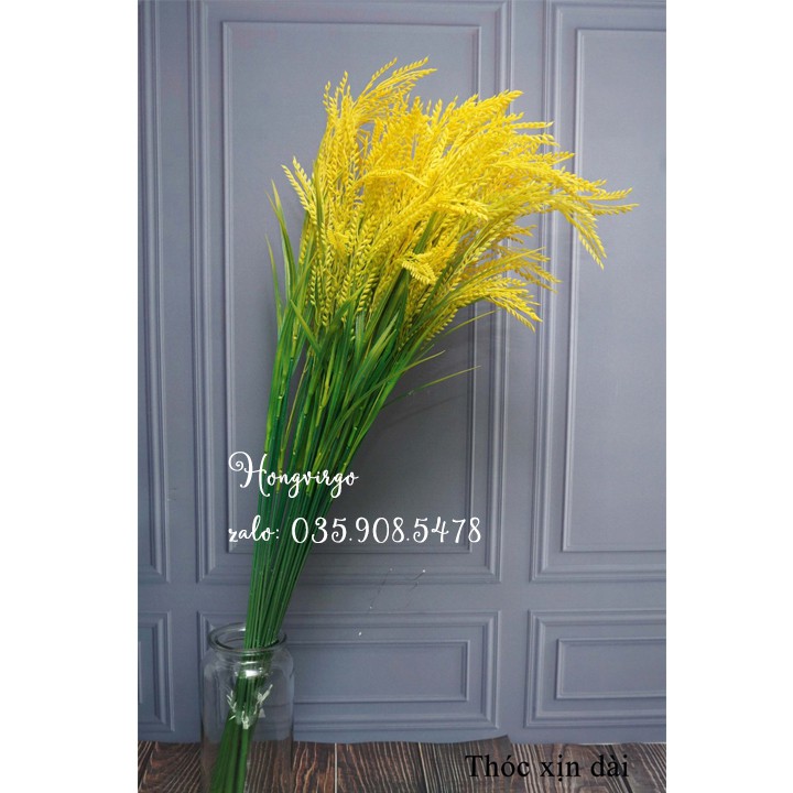 Bông lúa dài cao cấp